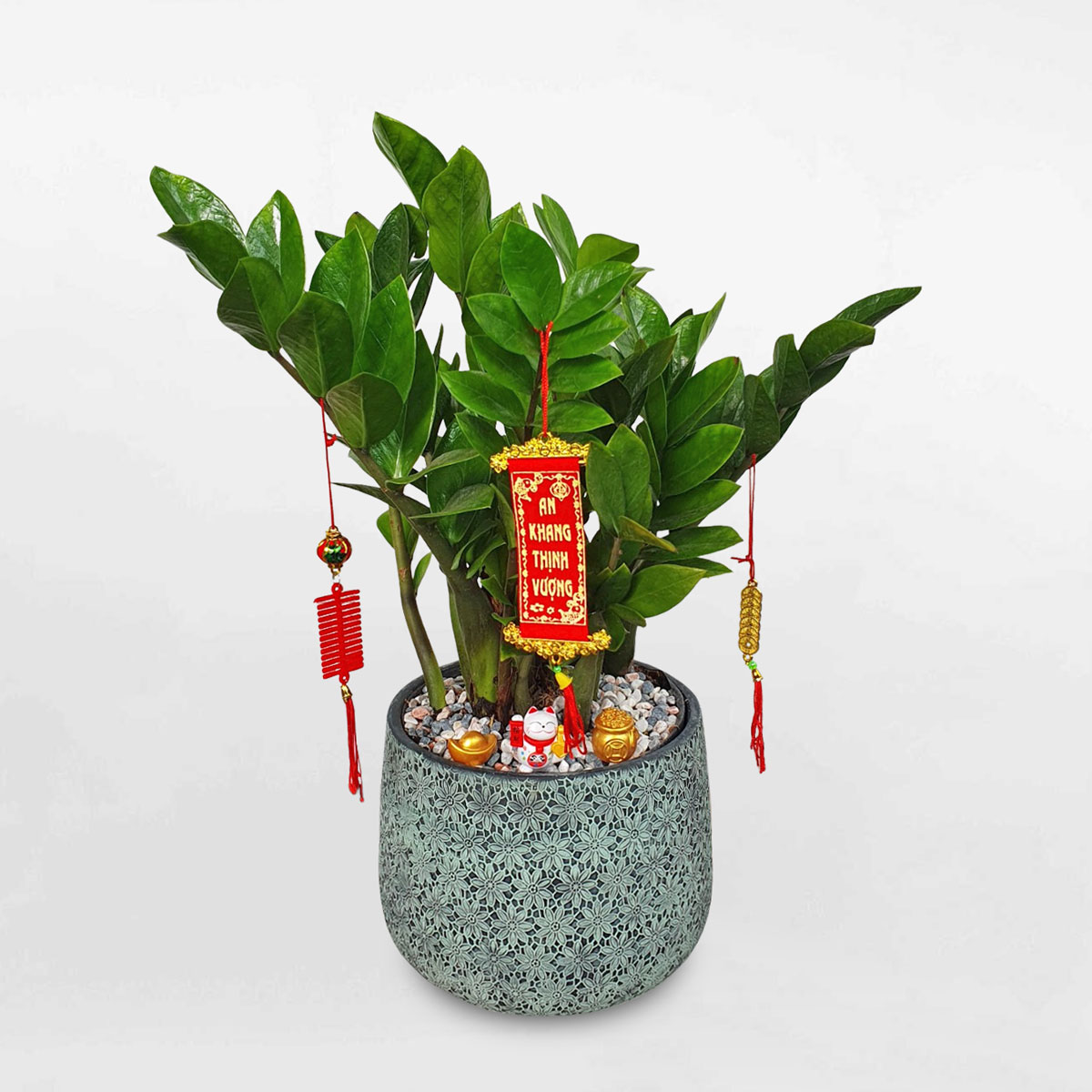 4 cây cảnh tương sinh cho người mệnh Kim: Giúp chủ nhân có 4 cây cảnh tương sinh cho người mệnh Kim: Giúp chủ nhân có
