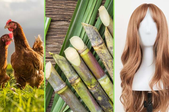 Công ty ở Trung Quốc tặng mía, tóc giả làm quà Tết cho nhân viên- Ảnh 1. Công ty ở Trung Quốc tặng mía, tóc giả làm quà Tết cho nhân viên- Ảnh 1.