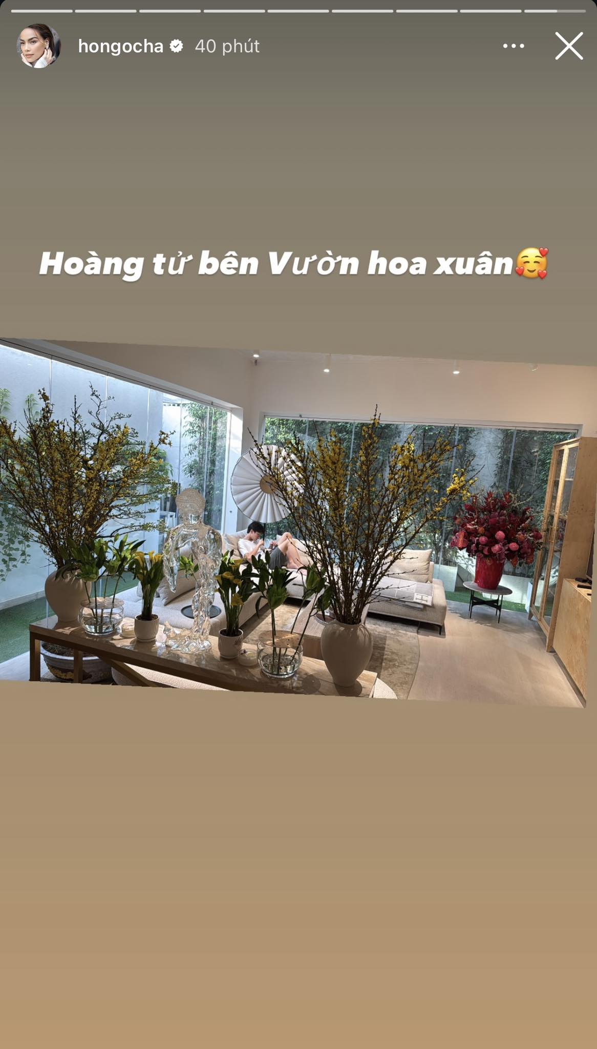 Cuộc đua hoa Tết của sao Việt: Phu nhân Cường Đô La trưng loại hoa ‘‘hút tiền'' trong căn hộ tiền tỷ, một nàng hậu chơi lớn sắm tới 10 thứ cây- Ảnh 7. Cuộc đua hoa Tết của sao Việt: Phu nhân Cường Đô La trưng loại hoa ‘‘hút tiền'' trong căn hộ tiền tỷ, một nàng hậu chơi lớn sắm tới 10 thứ cây- Ảnh 7.