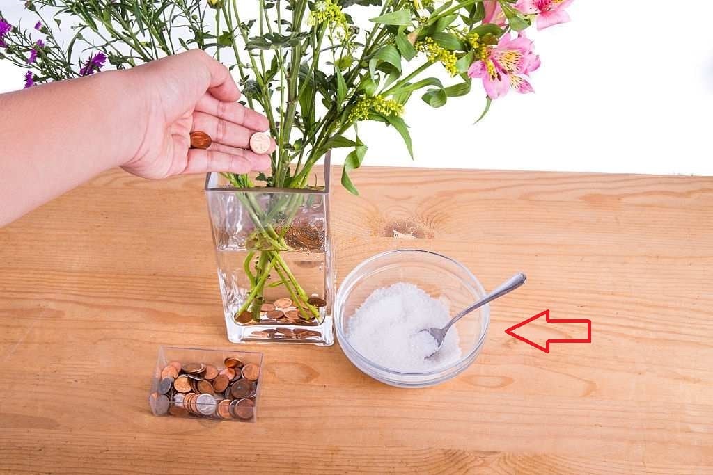 Mua hoa tươi thôi chưa đủ, học ngay 7 cách này, đảm bảo hoa nhà bạn sẽ lung linh cả 9 ngày Tết!- Ảnh 2. Mua hoa tươi thôi chưa đủ, học ngay 7 cách này, đảm bảo hoa nhà bạn sẽ lung linh cả 9 ngày Tết!- Ảnh 2.