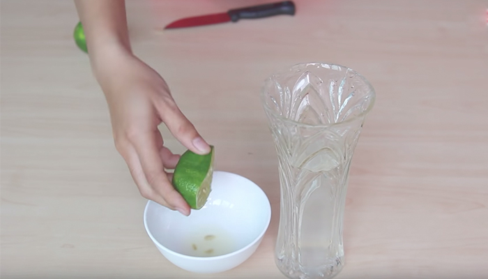 Mua hoa tươi thôi chưa đủ, học ngay 7 cách này, đảm bảo hoa nhà bạn sẽ lung linh cả 9 ngày Tết!- Ảnh 3. Mua hoa tươi thôi chưa đủ, học ngay 7 cách này, đảm bảo hoa nhà bạn sẽ lung linh cả 9 ngày Tết!- Ảnh 3.