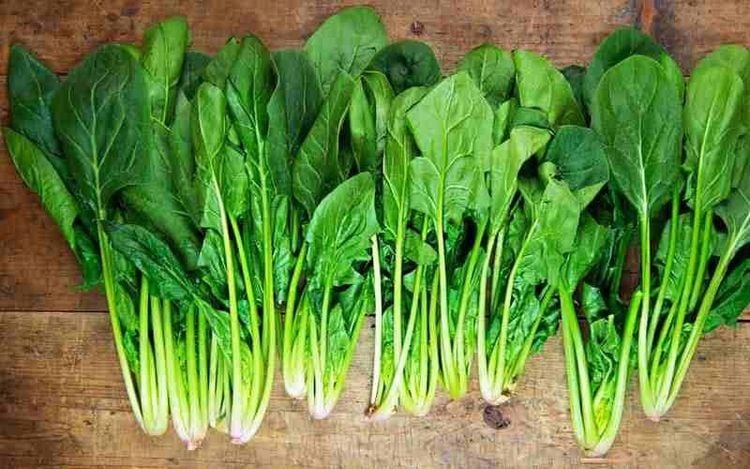 10 loại rau dễ 10 loại rau dễ