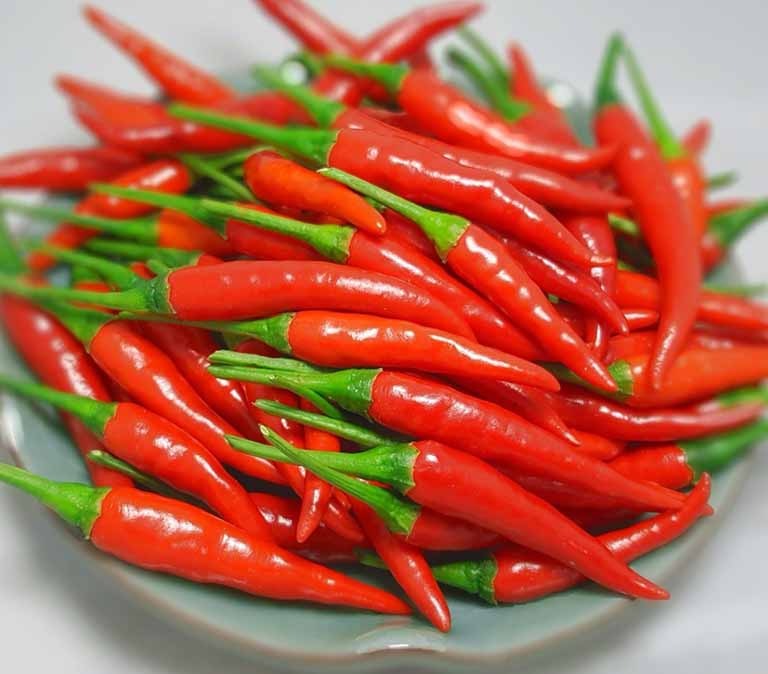 10 loại rau dễ 10 loại rau dễ