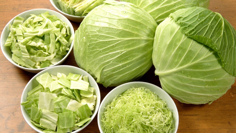 10 loại rau dễ 10 loại rau dễ