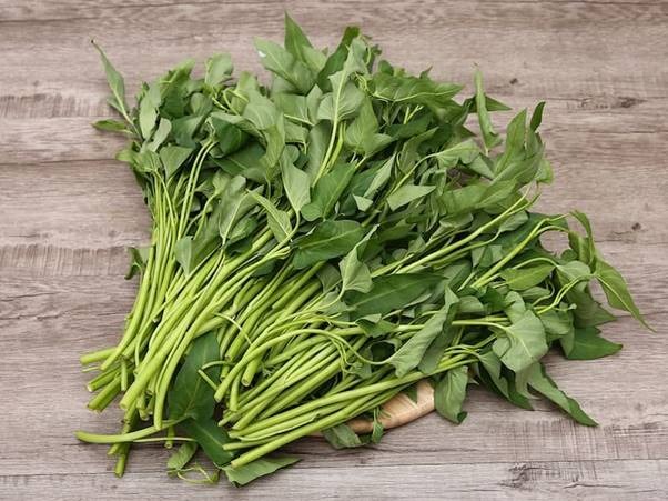 10 loại rau dễ 10 loại rau dễ