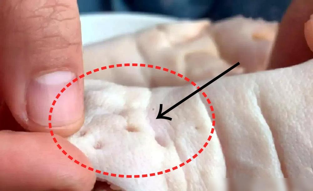 Bà nội trợ thông thái nói: Bà nội trợ thông thái nói: