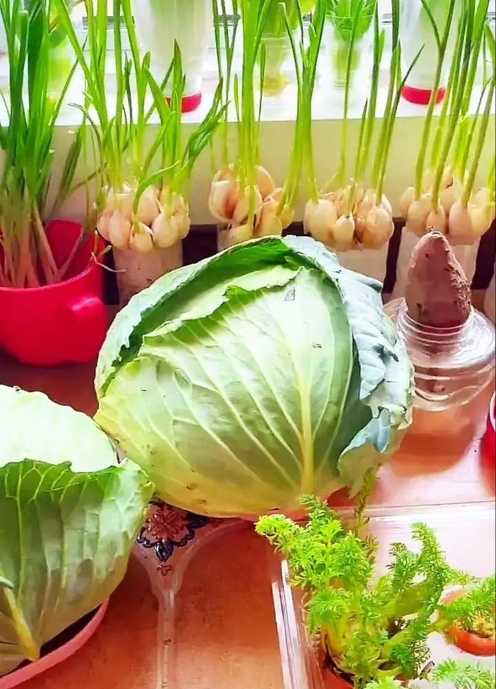 Bức ảnh chụp vu vơ khiến 1 người phụ nữ bình thường vụt nổi tiếng- Ảnh 2. Bức ảnh chụp vu vơ khiến 1 người phụ nữ bình thường vụt nổi tiếng- Ảnh 2.