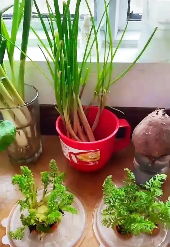 Bức ảnh chụp vu vơ khiến 1 người phụ nữ bình thường vụt nổi tiếng- Ảnh 3. Bức ảnh chụp vu vơ khiến 1 người phụ nữ bình thường vụt nổi tiếng- Ảnh 3.