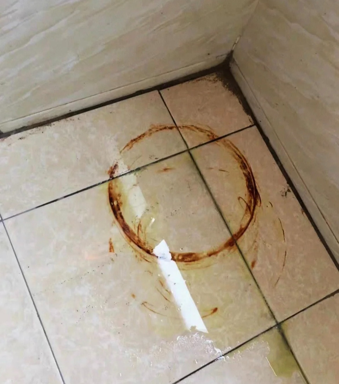 Chi 1 triệu đồng thuê giúp việc theo giờ và cái kết...- Ảnh 10. Chi 1 triệu đồng thuê giúp việc theo giờ và cái kết...- Ảnh 10.