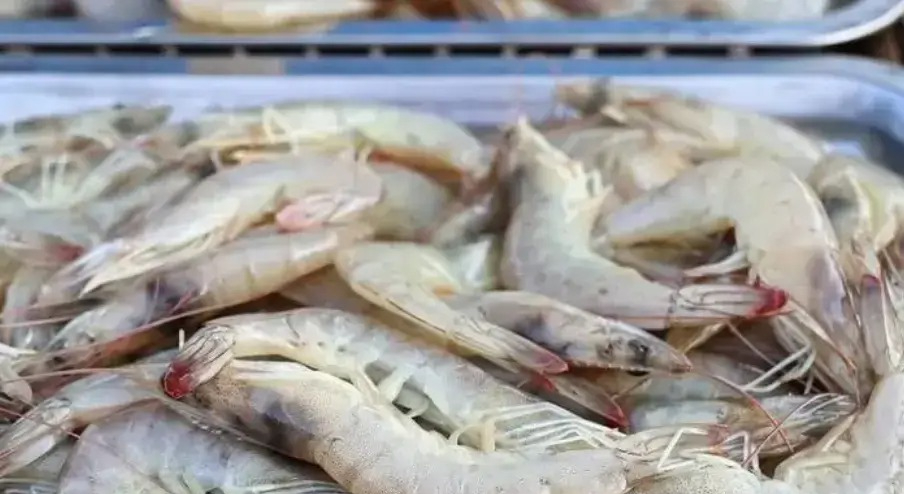 Đi chợ mua tôm thấy 5 dấu hiệu này thì nhất quyết Đi chợ mua tôm thấy 5 dấu hiệu này thì nhất quyết