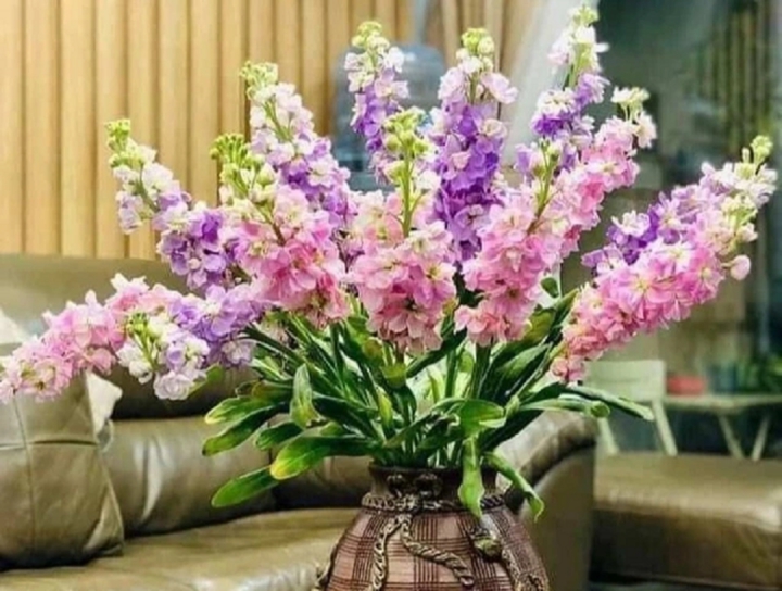 Loại hoa đẹp nhưng có độc mà nhiều người thích cắm trong nhà- Ảnh 3. Loại hoa đẹp nhưng có độc mà nhiều người thích cắm trong nhà- Ảnh 3.
