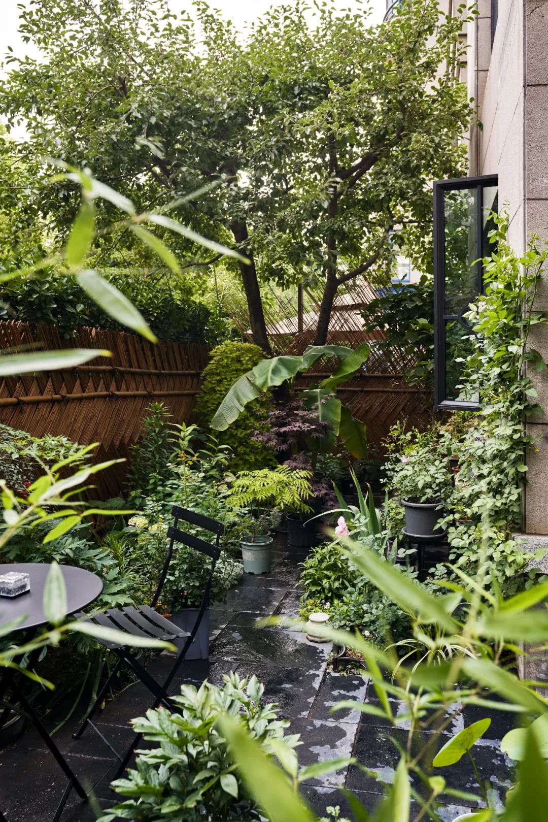 Nhà để ở, tổ ấm để chữa lành: Cô gái Nhà để ở, tổ ấm để chữa lành: Cô gái