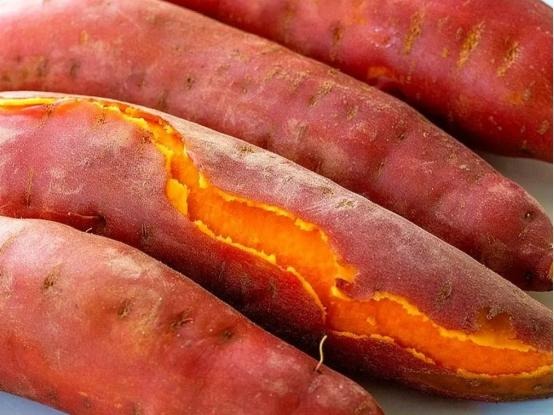 4 dấu hiệu nguy hiểm của khoai lang, tôi khuyên thật: Đừng mua kẻo 4 dấu hiệu nguy hiểm của khoai lang, tôi khuyên thật: Đừng mua kẻo