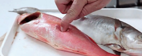 4 mẹo nhận biết cá tươi ngon, người bán cũng chẳng lừa được bạn- Ảnh 3. 4 mẹo nhận biết cá tươi ngon, người bán cũng chẳng lừa được bạn- Ảnh 3.
