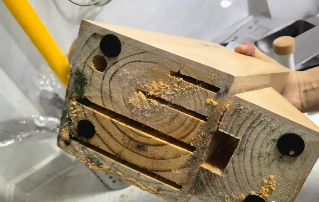6 đồ dùng trong nhà dễ là nơi nấm mốc 6 đồ dùng trong nhà dễ là nơi nấm mốc