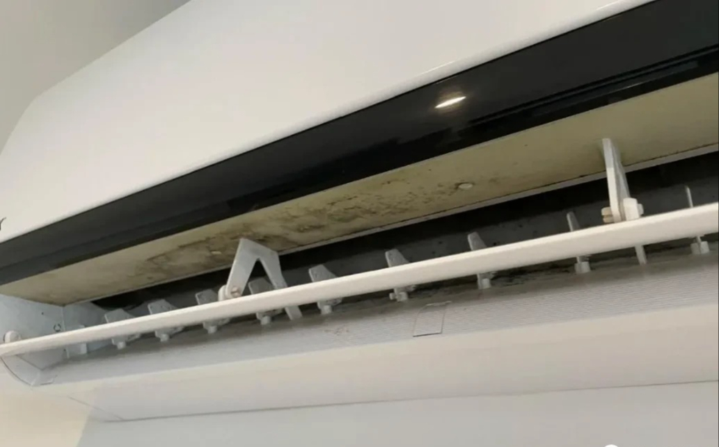 6 đồ dùng trong nhà dễ là nơi nấm mốc 6 đồ dùng trong nhà dễ là nơi nấm mốc
