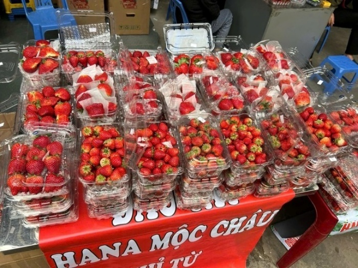 Dâu tây "giá rẻ như cho" tràn ngập thị trường, bán tràn lan ở vỉa hè Hà Nội- Ảnh 3. Dâu tây "giá rẻ như cho" tràn ngập thị trường, bán tràn lan ở vỉa hè Hà Nội- Ảnh 3.