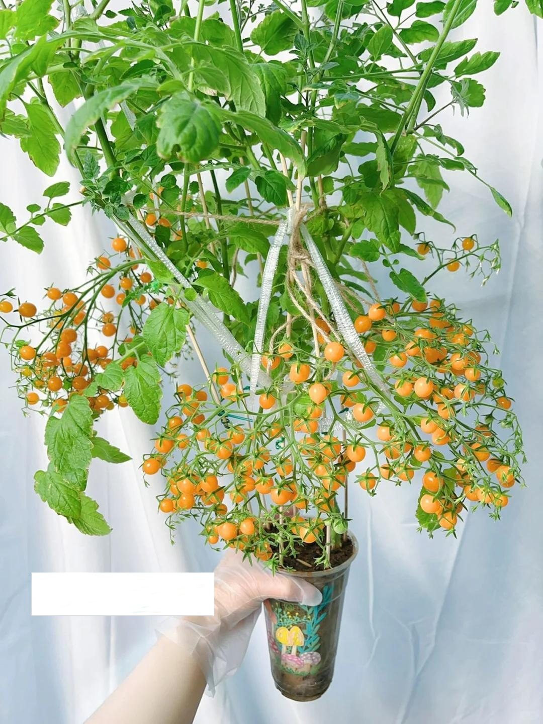 Sau khi uống hết ly trà sữa, cô gái làm 1 điều khiến cả cõi mạng thừa nhận: Đỉnh nóc!- Ảnh 1. Sau khi uống hết ly trà sữa, cô gái làm 1 điều khiến cả cõi mạng thừa nhận: Đỉnh nóc!- Ảnh 1.