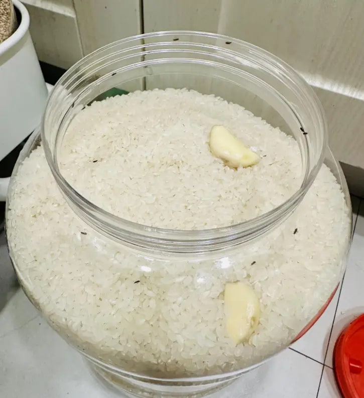 Trong khi tôi đau đầu về việc nhà thì mẹ Trong khi tôi đau đầu về việc nhà thì mẹ