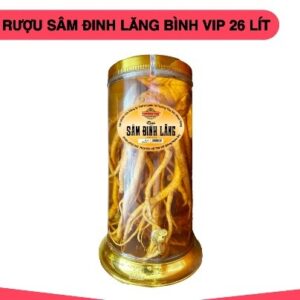 Rượu Đinh Lăng Bình VIP 26L 26%