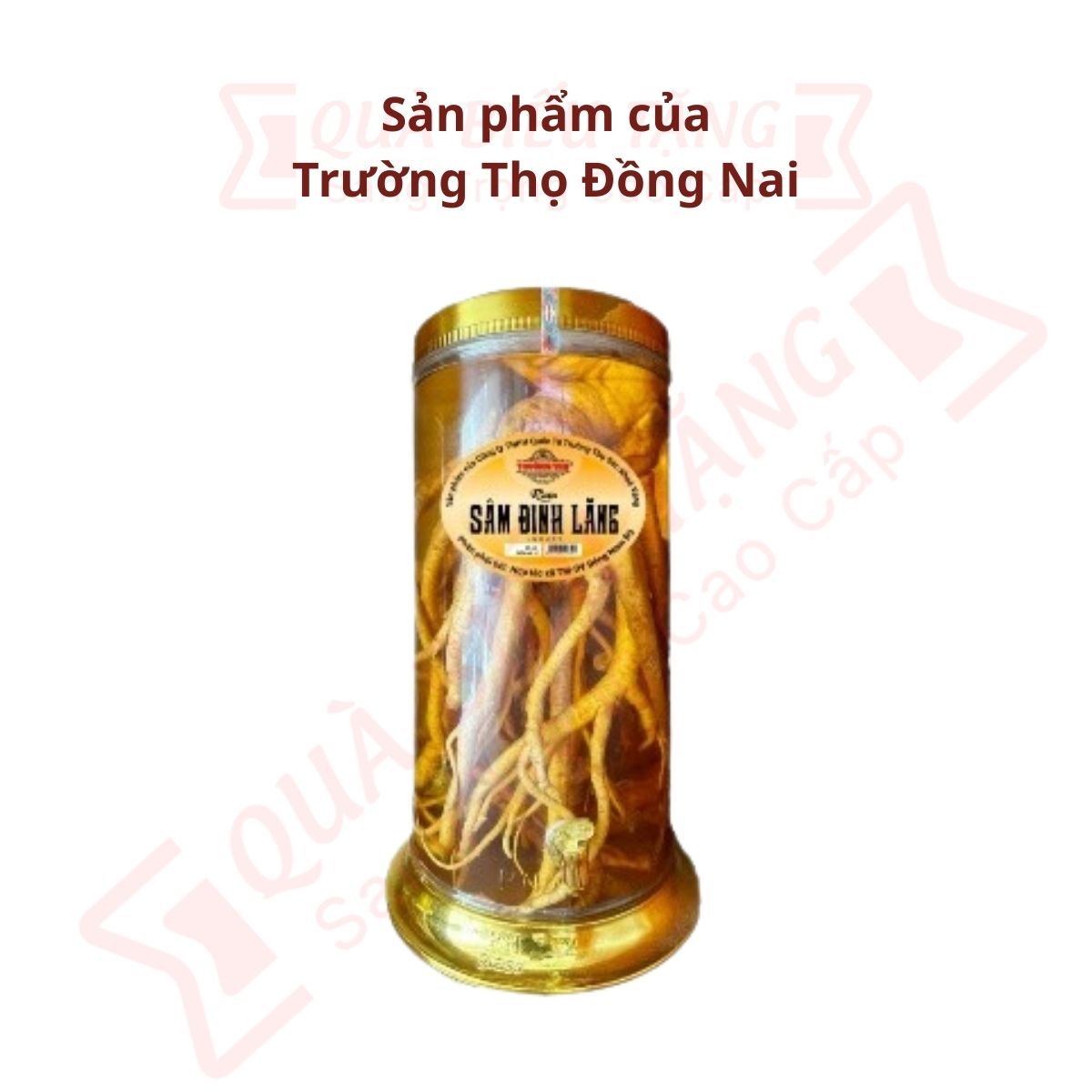 Rượu Đinh Lăng Bình VIP 26L 26%