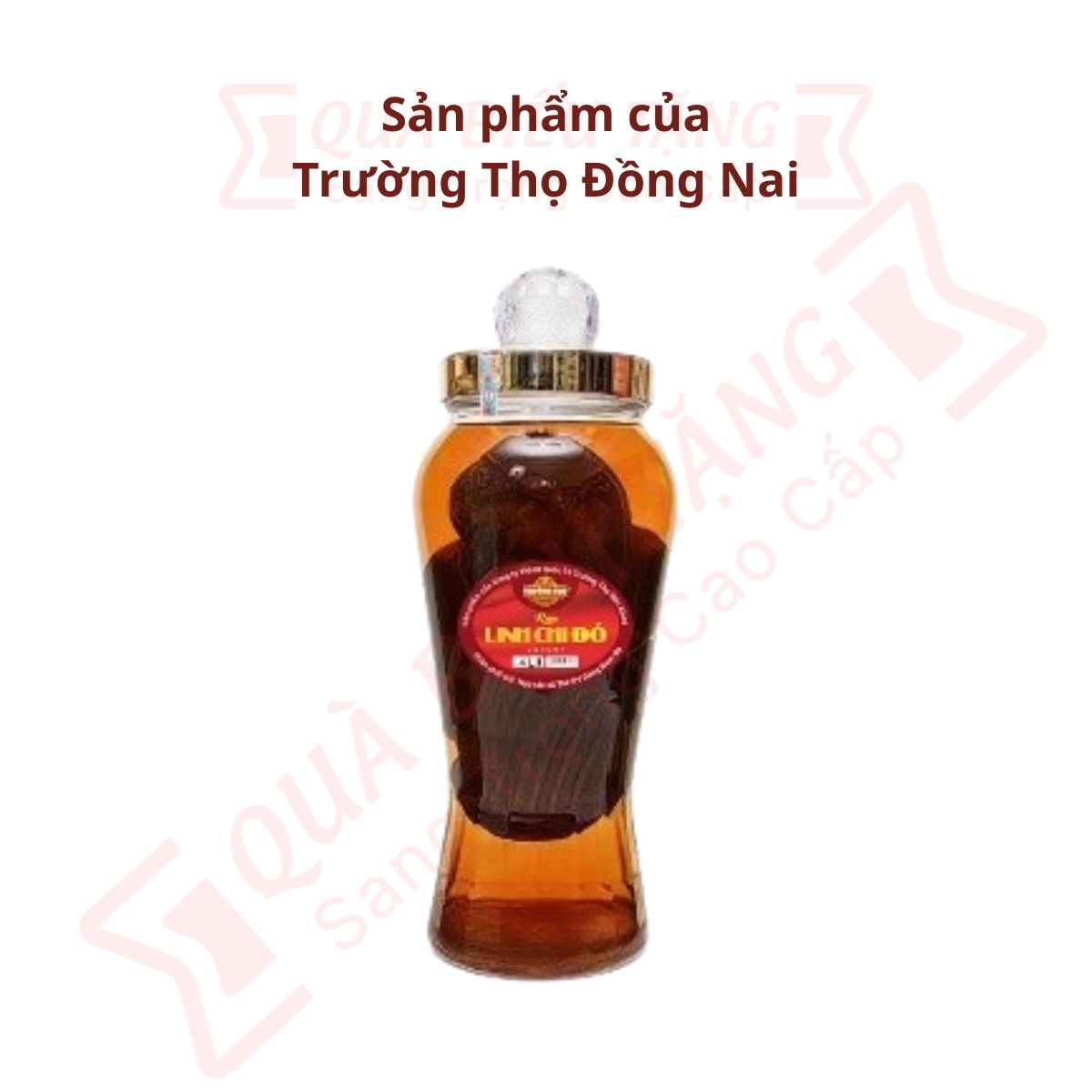 Bình Ngâm nguyên khối 6L 26%