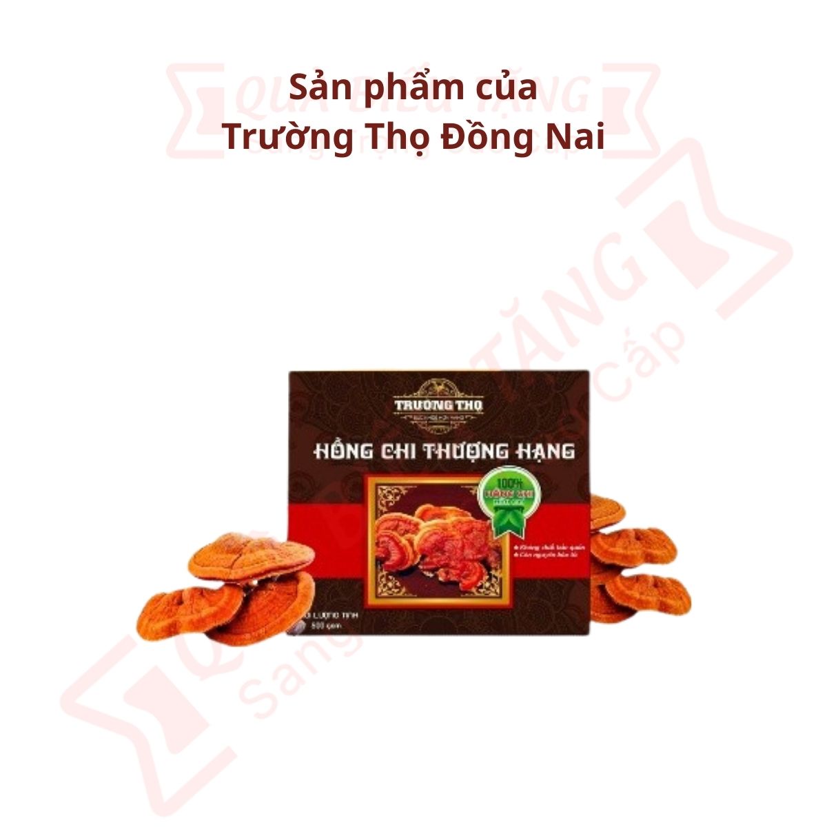 Hồng chi thượng hạng hộp 500g